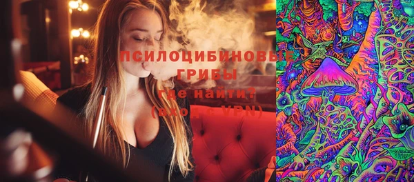эйфоретик Баксан