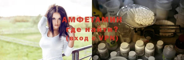молекула духа Арсеньев