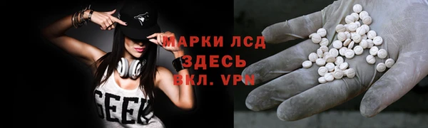 эйфоретик Баксан
