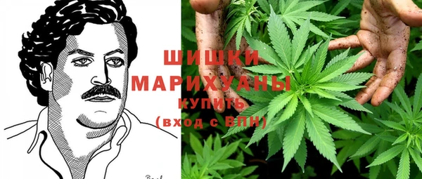 эйфоретик Баксан